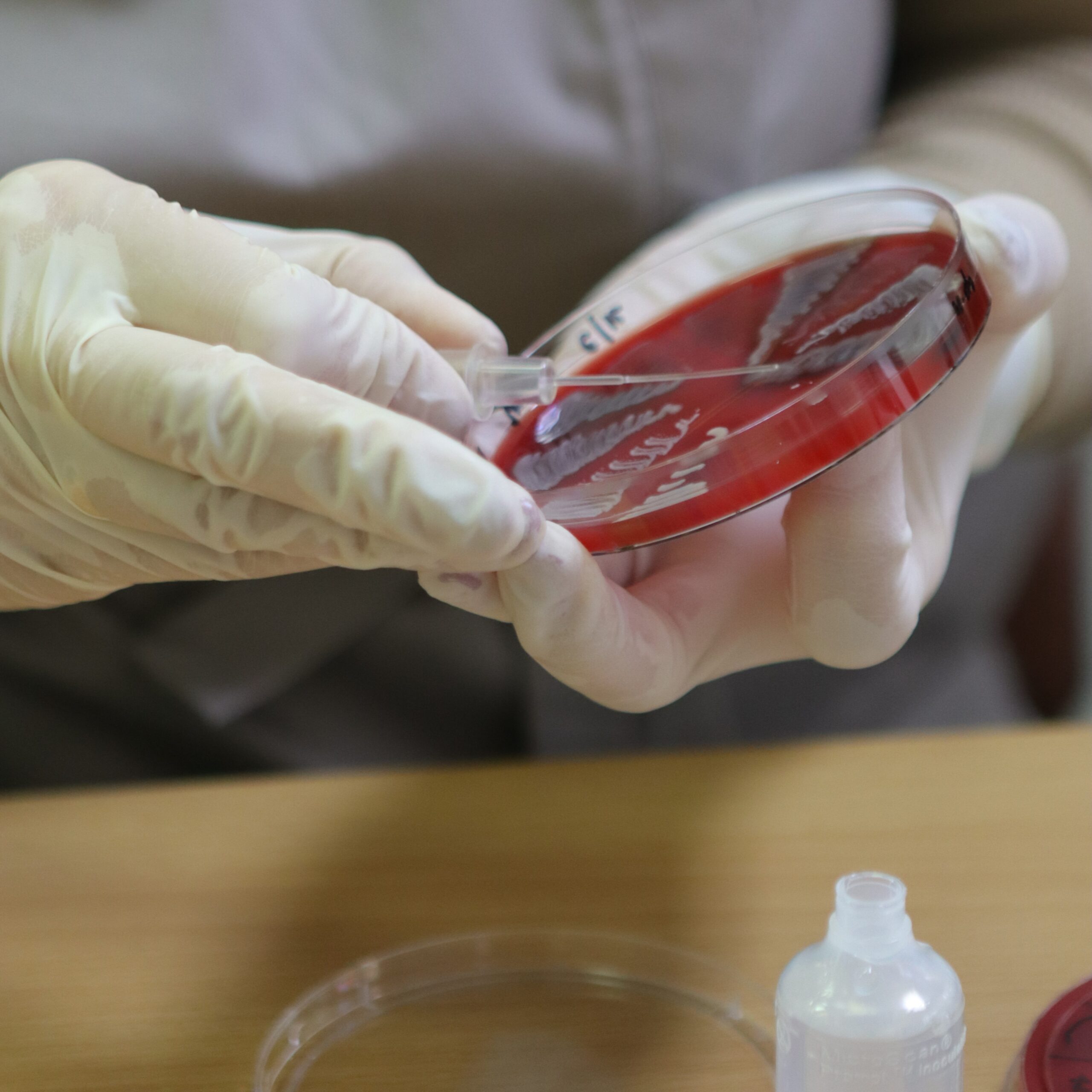 лабораторія